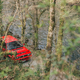 Illustration for article titled Your Ridiculously Awesome Lancia Delta Integrale Wallpapers Are Here